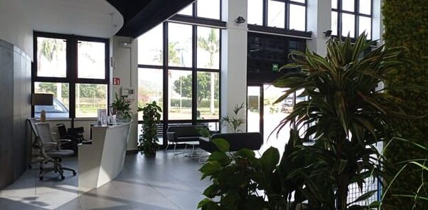 entrada a instalaciones de united aviation